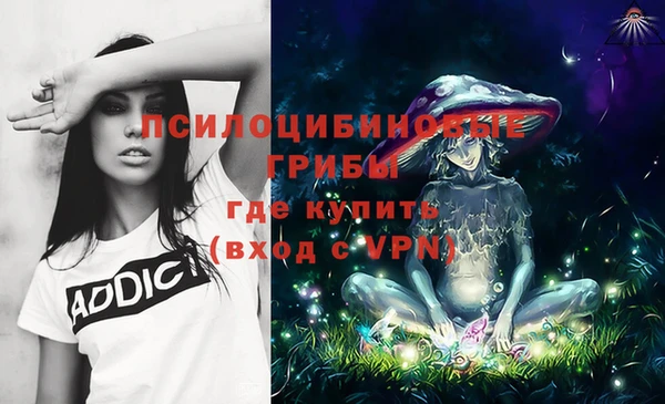 сатива Аксай