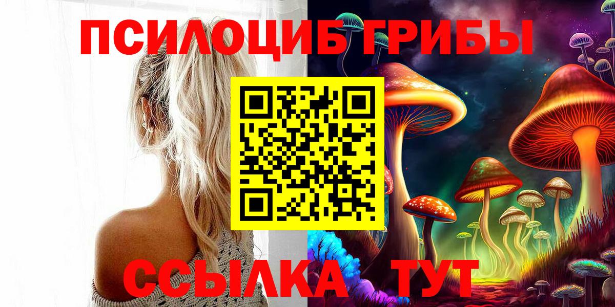 Псилоцибиновые грибы Psilocybe  Псилоцибиновые грибы прущие грибы  купить   Беслан 
