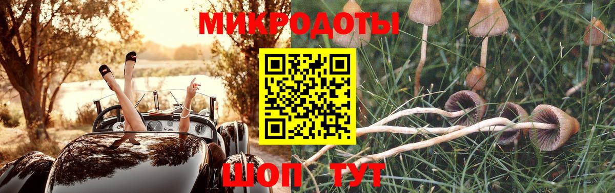 Псилоцибиновые грибы Psilocybe  Вход с VPN  Беслан 